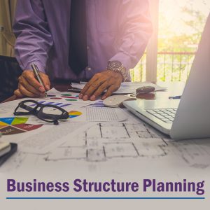 Small Business Structure